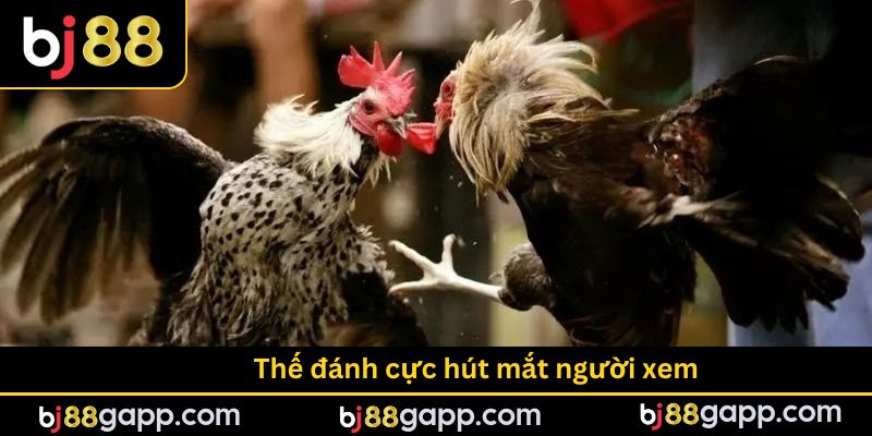 Thế đánh cực hút mắt người xem